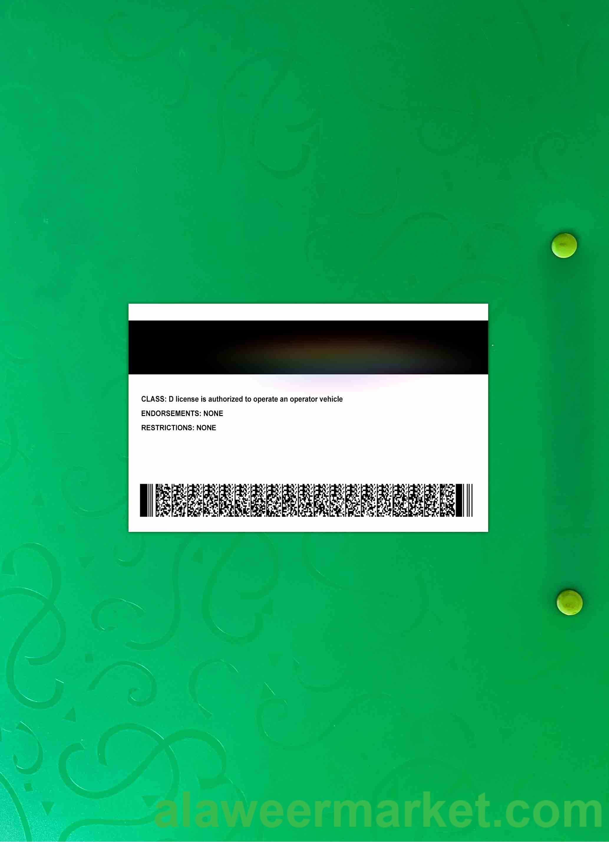 USA Ohio driving license 2018-present photolook BACK